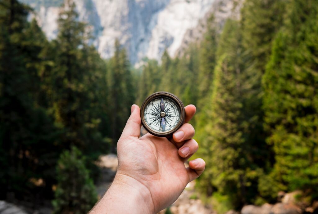 Getting direction from experienced executives