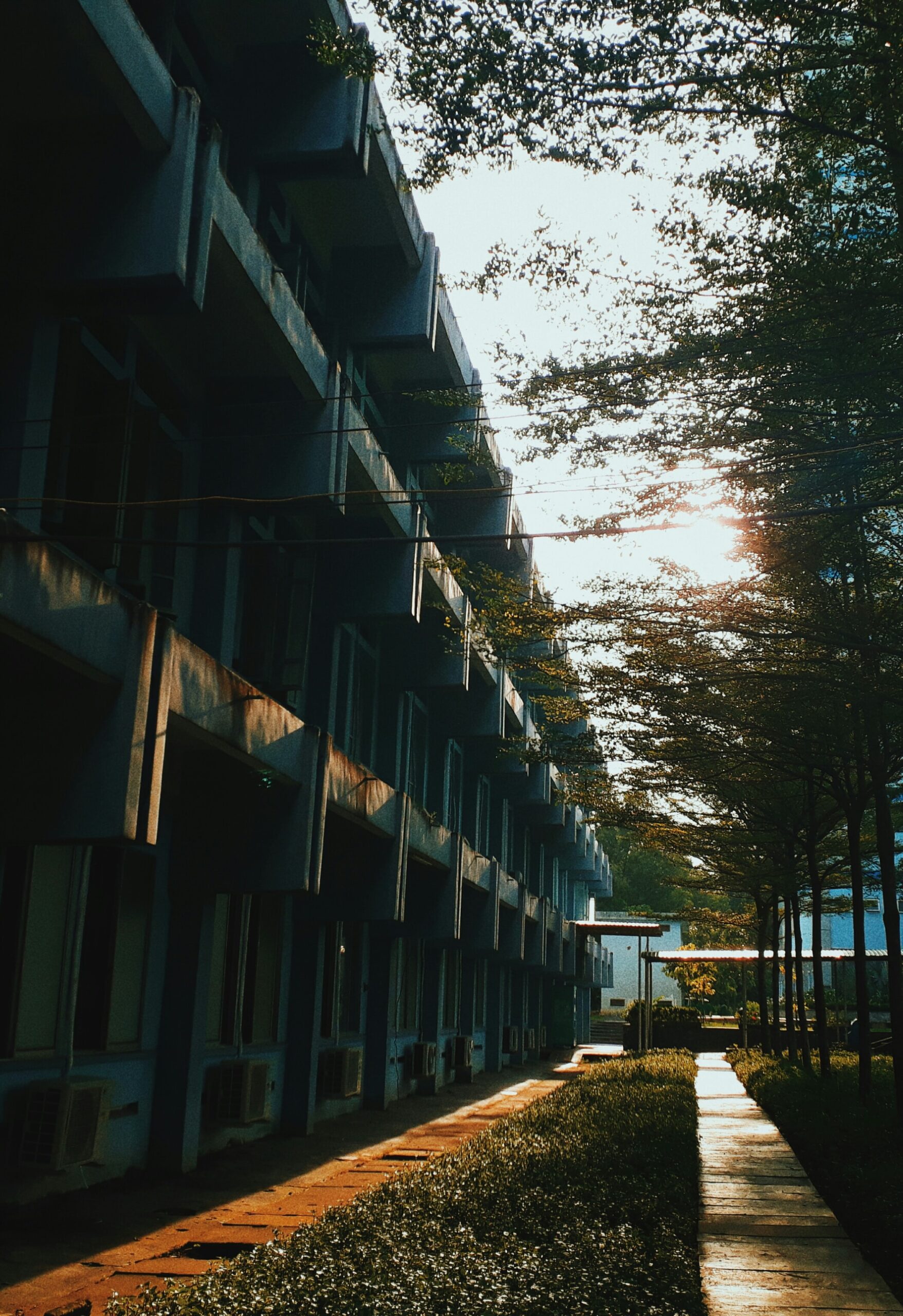 IT Building